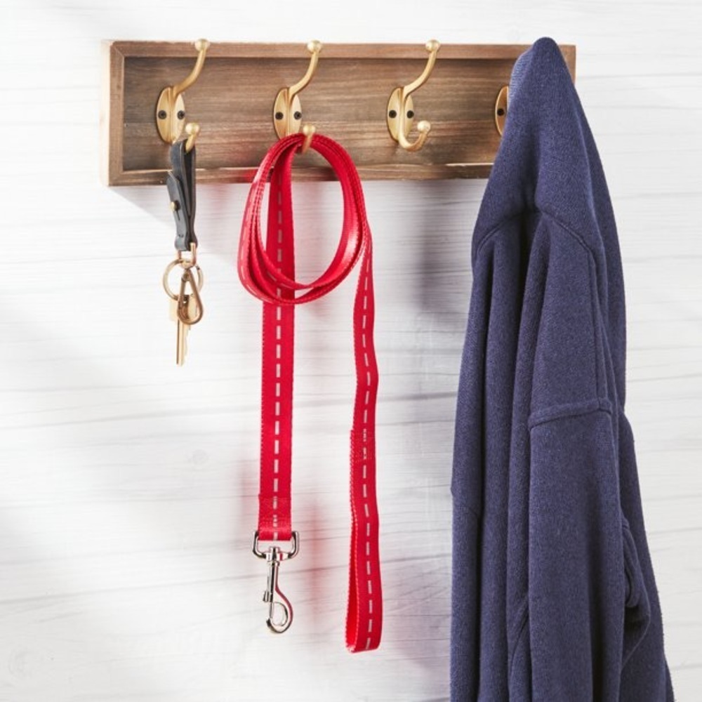 NWT Vibrant life 5 ft red leash for dogs and cats